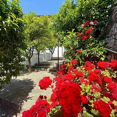Ulivo Liguria With Pool *